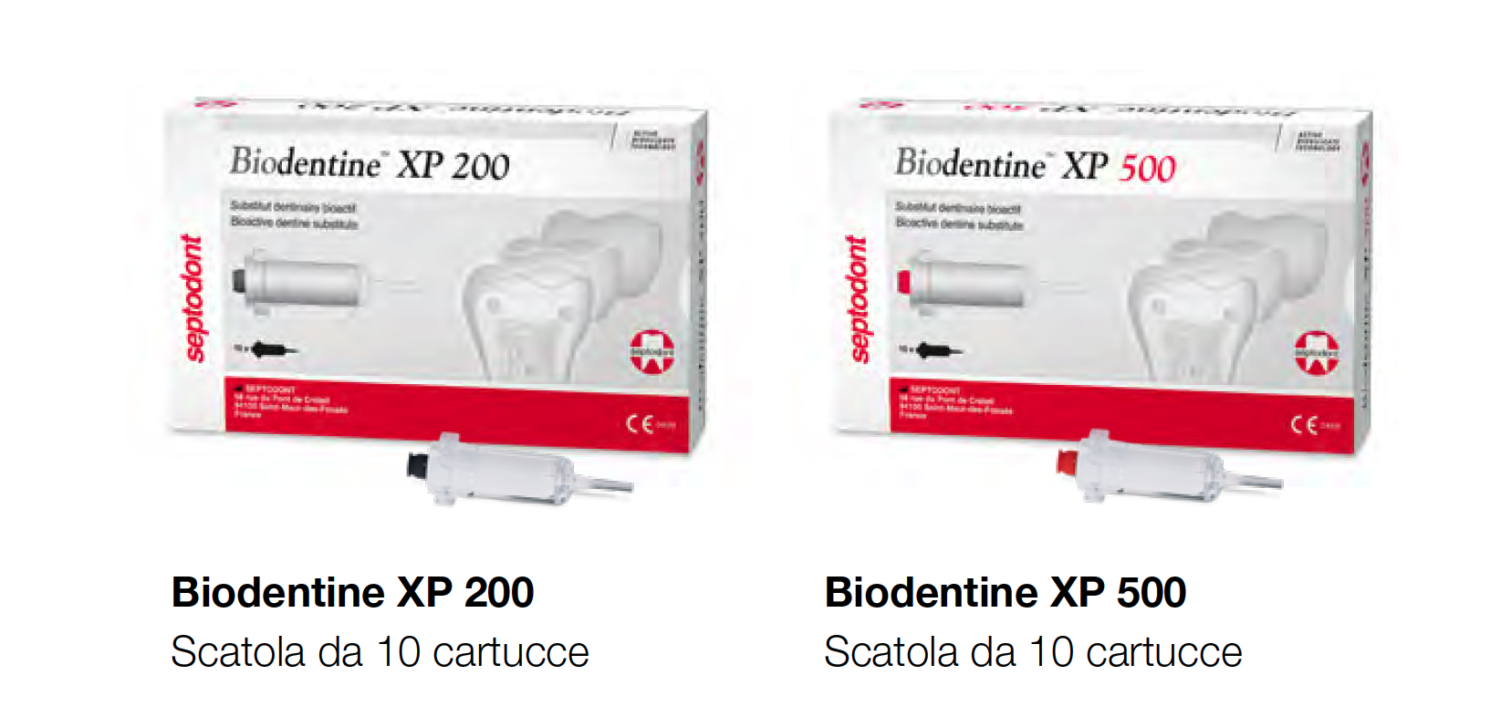 biodentine XP dental club