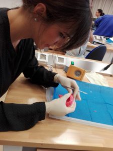 2017-06 Corso Dott. D’Amelio 2 Dental Club