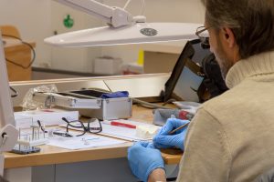 2019-02 Corso colorazione zirconia Odt. Marini 2 Dental Club