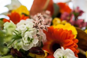 2017-03 Memorial Mason 2 Dental Club